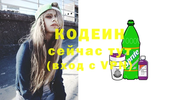 СК Бородино