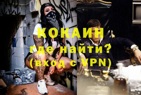 шишки Богданович