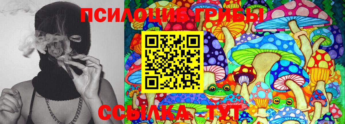 Галлюциногенные грибы Psilocybe  Галлюциногенные грибы GOLDEN TEACHER  Гай  Вход с VPN 